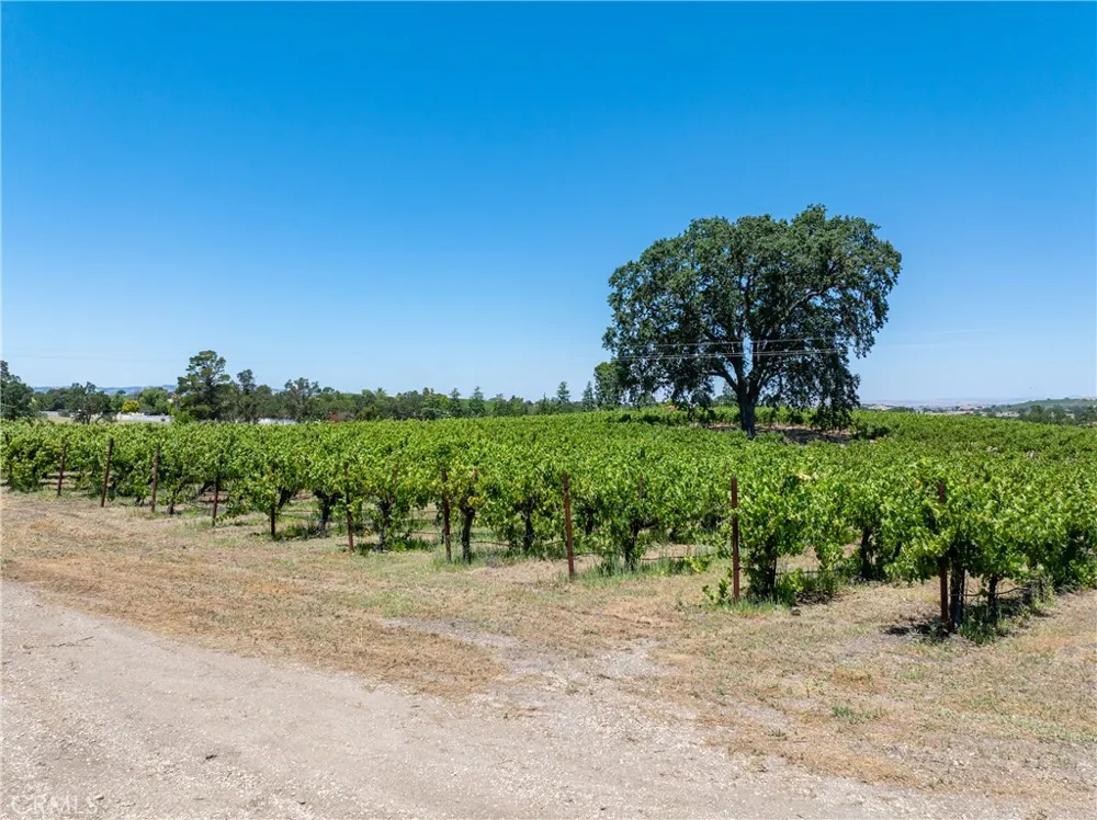 175 White Hawk Templeton, CA 93465