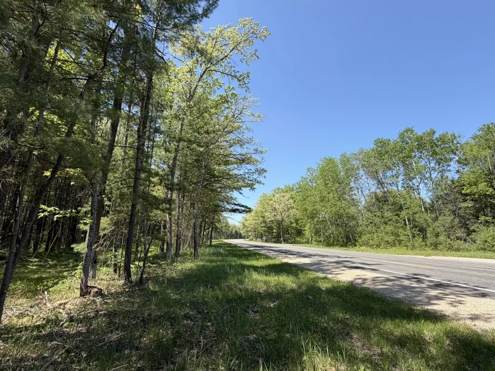 US-10 Pleasant Plains Township, MI 49642