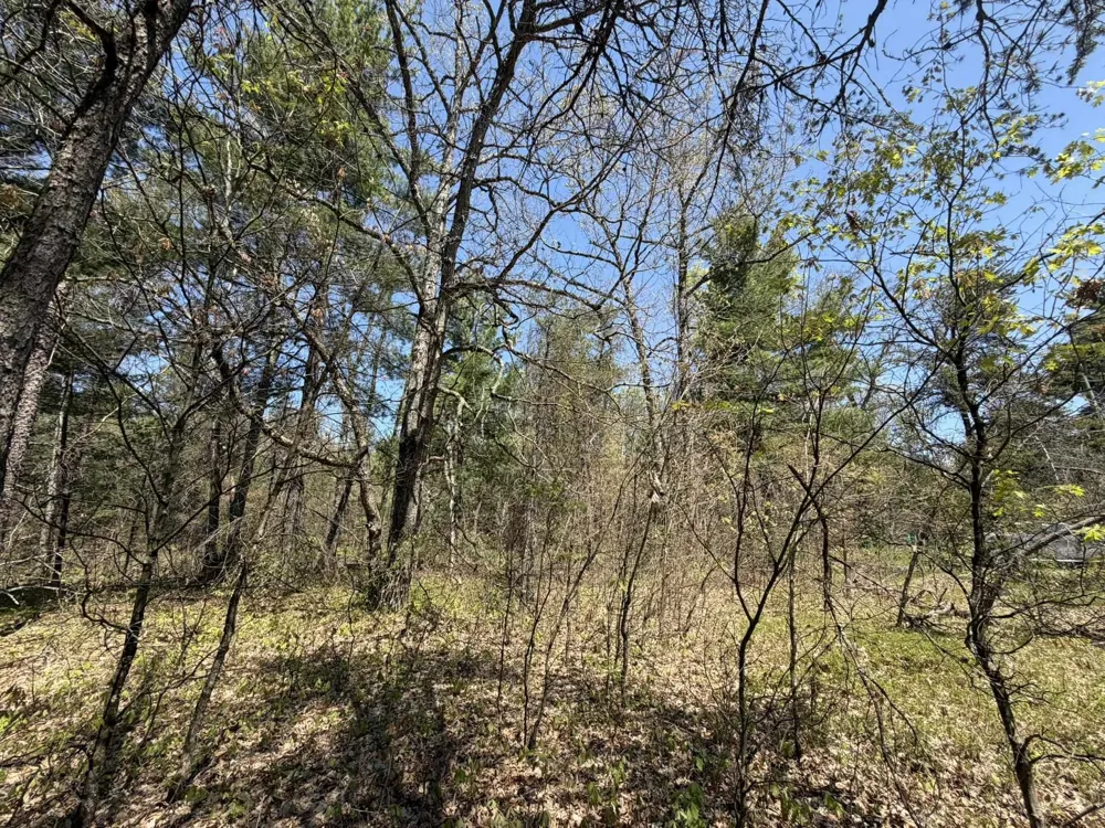 US-10 Pleasant Plains Township, MI 49642