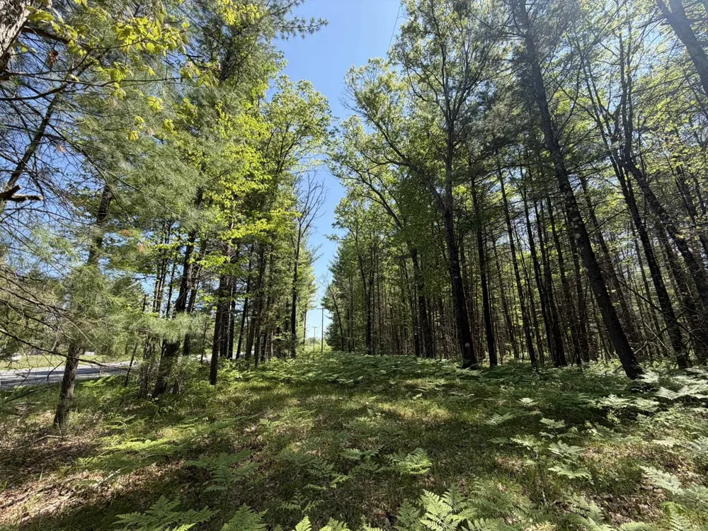 US-10 Pleasant Plains Township, MI 49642