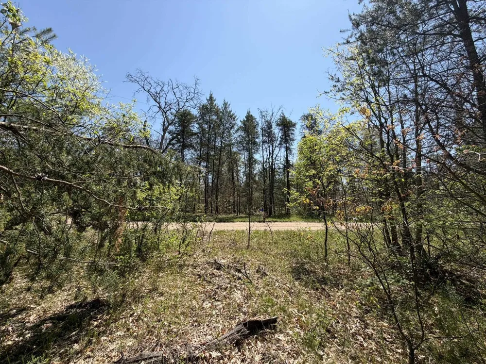 US-10 Pleasant Plains Township, MI 49642