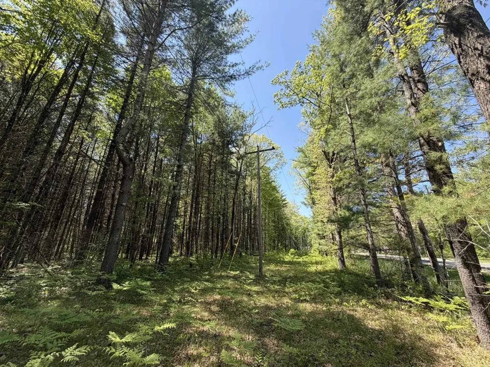US-10 Pleasant Plains Township, MI 49642