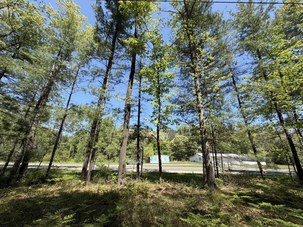 US-10 Pleasant Plains Township, MI 49642