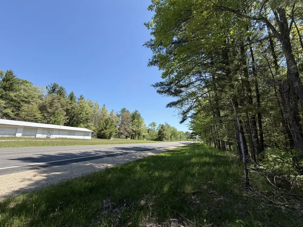 US-10 Pleasant Plains Township, MI 49642