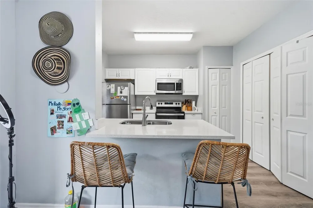 1250 CHARLESWORTH DRIVE Wesley Chapel, FL 33543