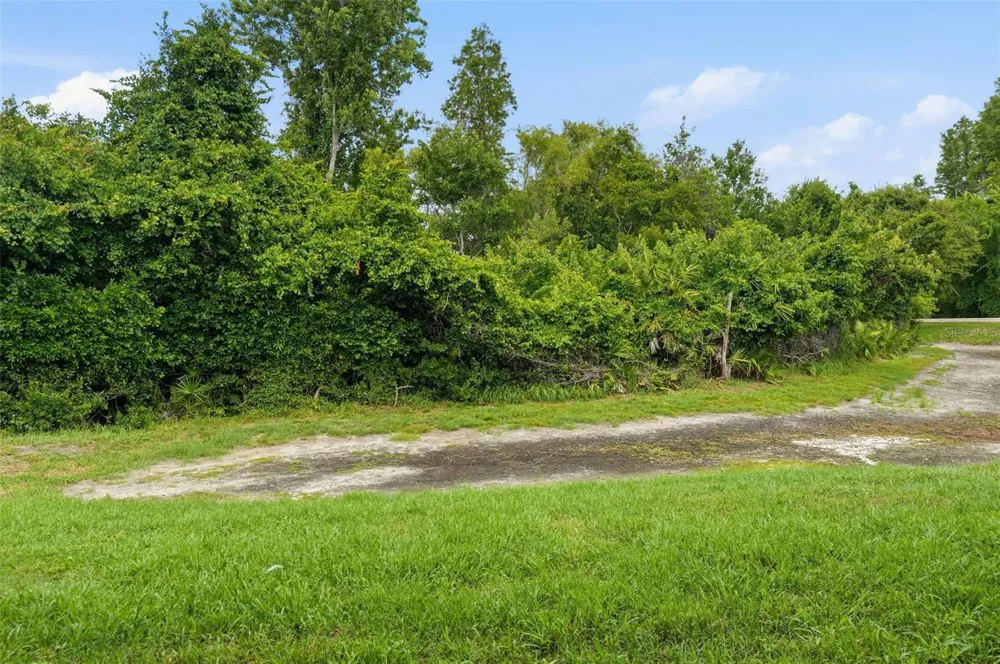 1250 CHARLESWORTH DRIVE Wesley Chapel, FL 33543