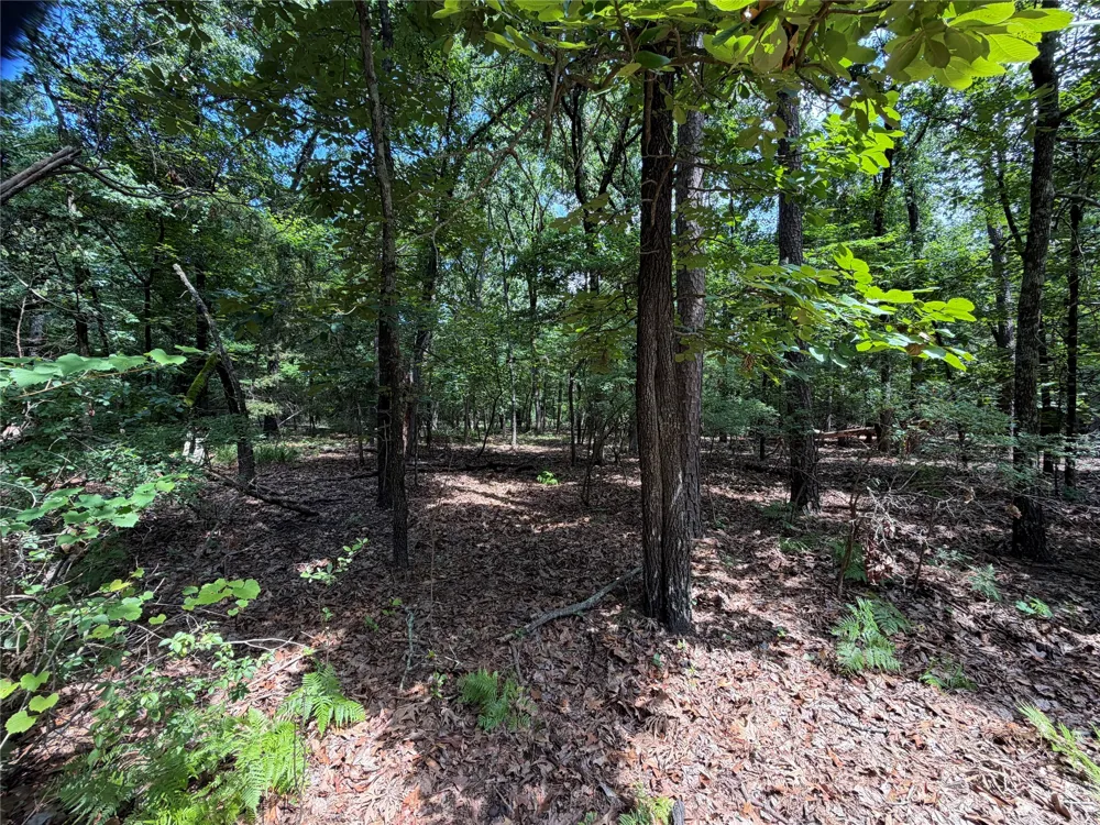 King Arthur Court Scroggins, TX 75480