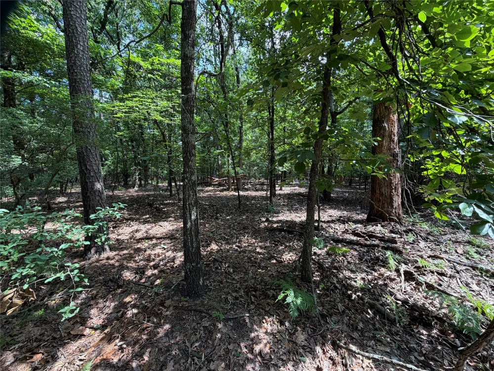 King Arthur Court Scroggins, TX 75480