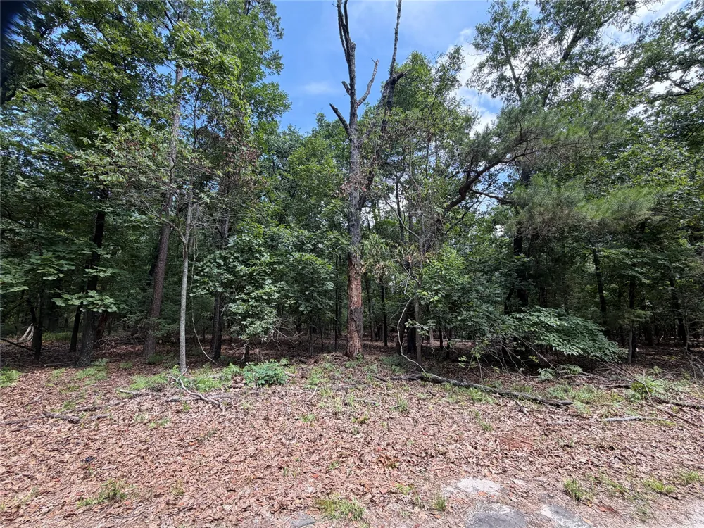 King Arthur Court Scroggins, TX 75480