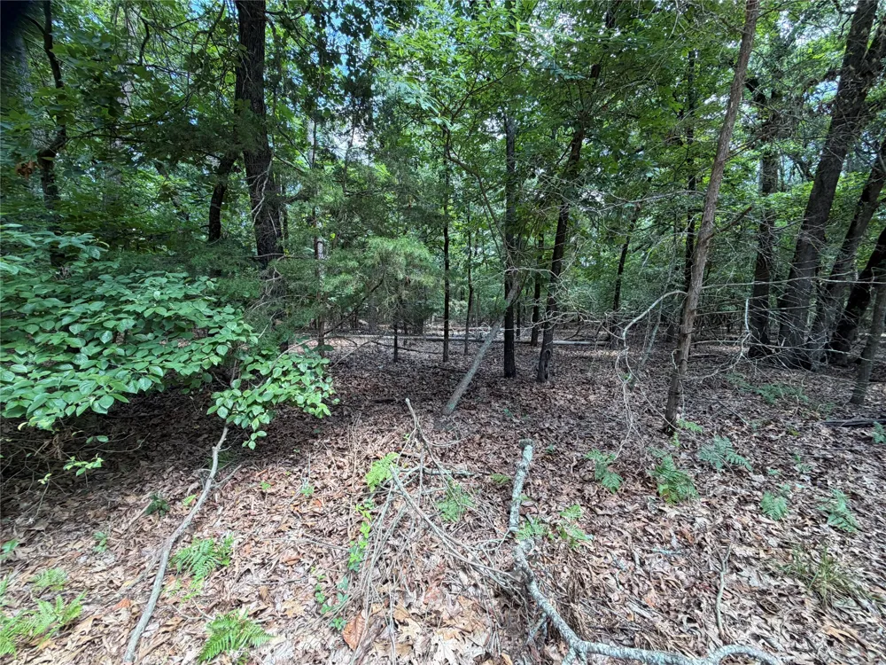 King Arthur Court Scroggins, TX 75480