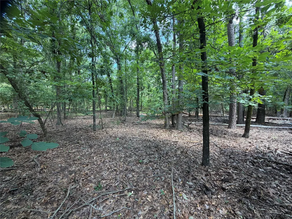 King Arthur Court Scroggins, TX 75480