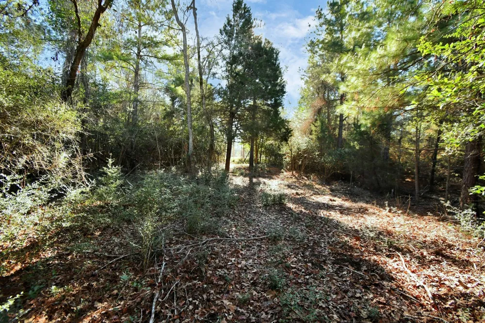 75 Pr 1318 Centerville, TX 75833