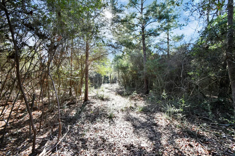 75 Pr 1318 Centerville, TX 75833