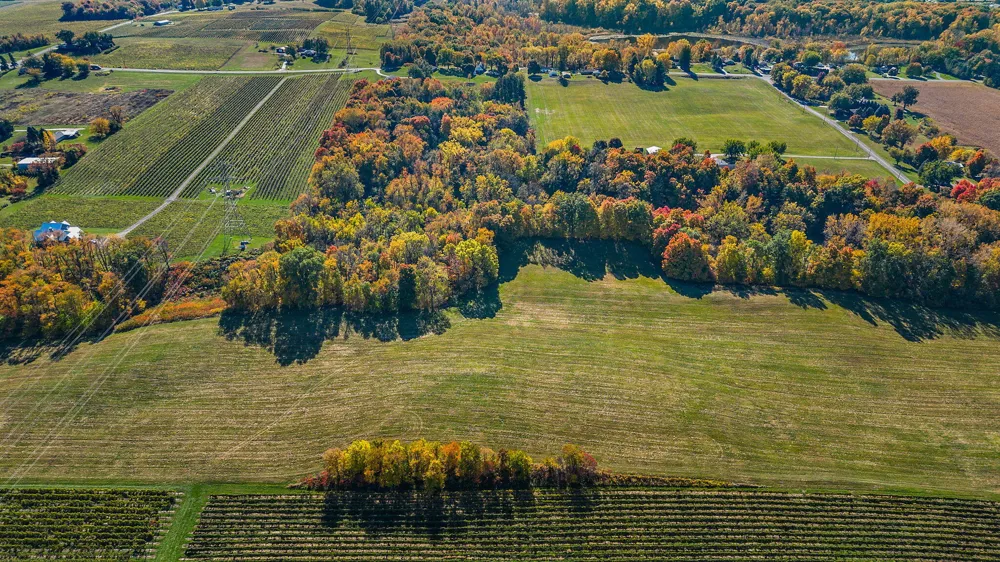 Gray Road #Parcel C Baroda, MI 49101