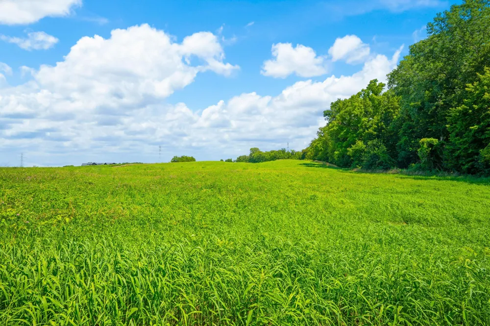Gray Road #Parcel C Baroda, MI 49101