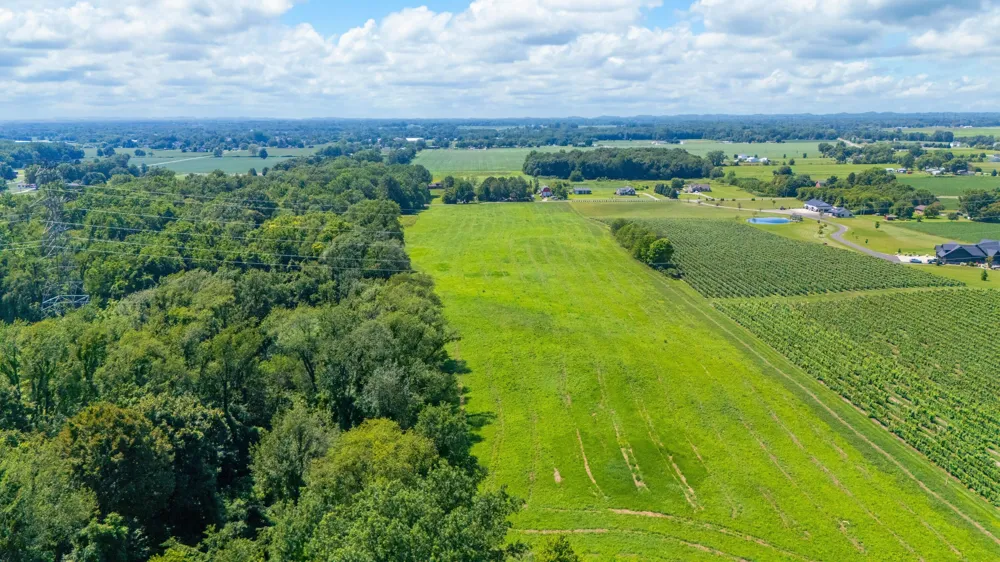 Gray Road #Parcel C Baroda, MI 49101