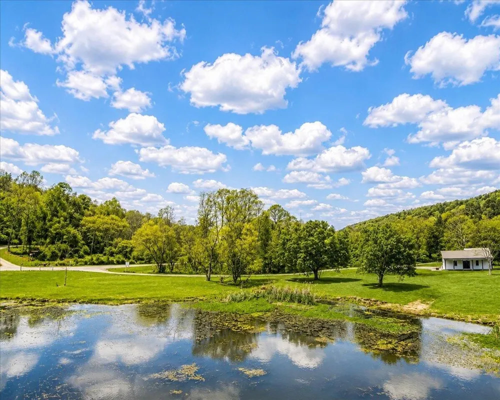 1483 Reagan Valley Road Tellico Plains, TN 37385