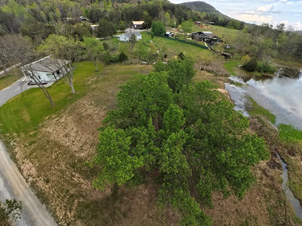 1483 Reagan Valley Road Tellico Plains, TN 37385