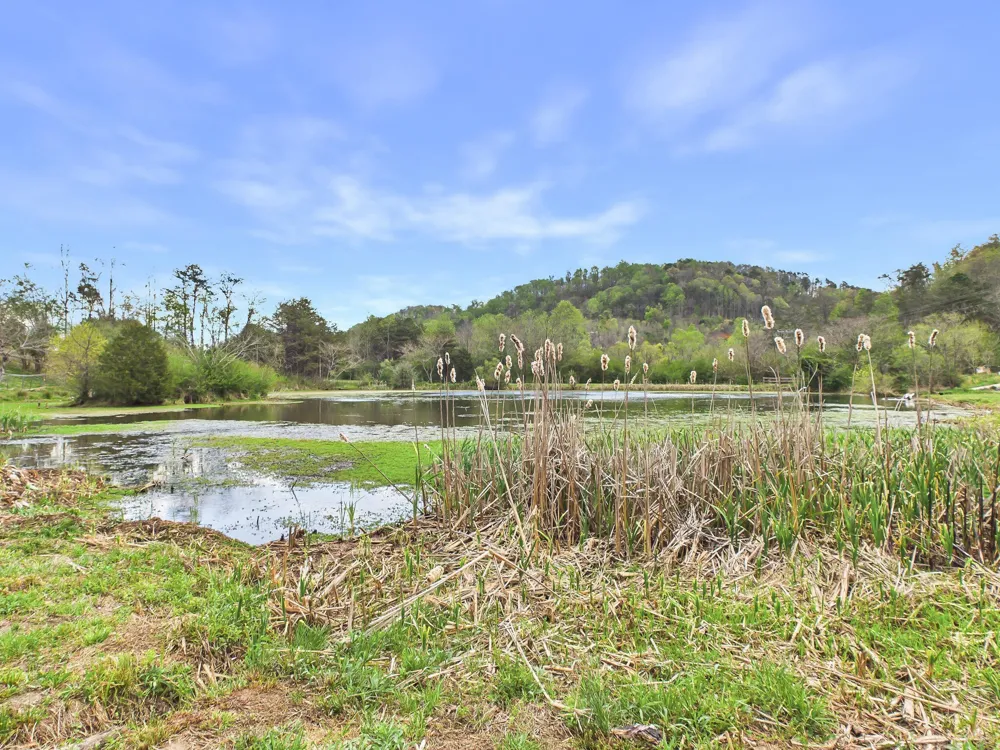 1483 Reagan Valley Road Tellico Plains, TN 37385