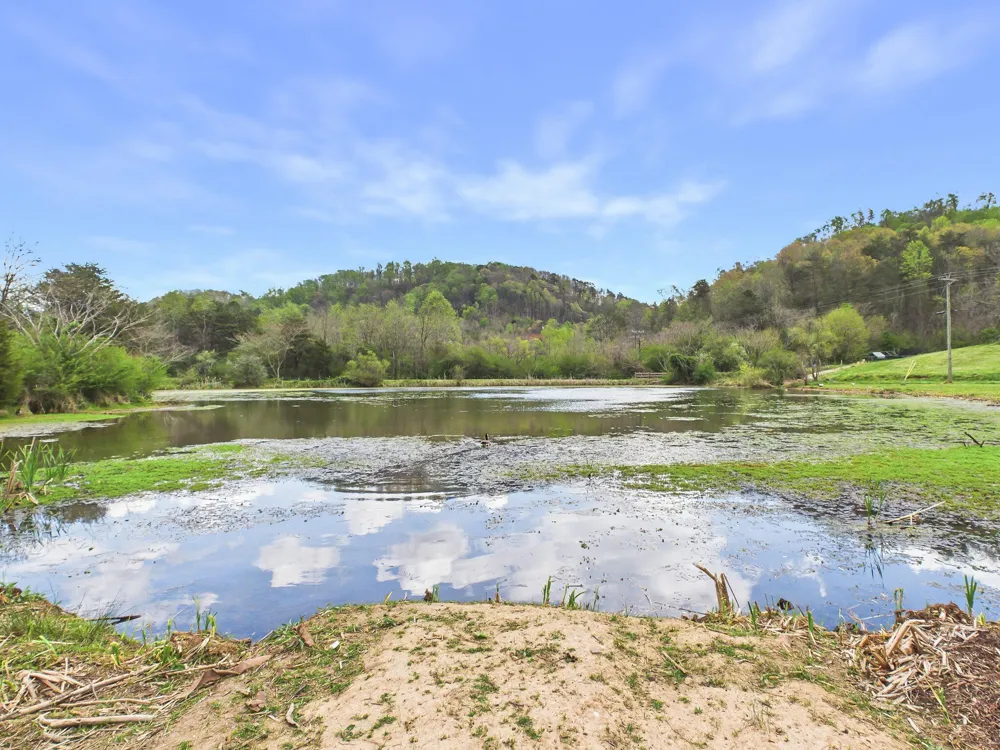 1483 Reagan Valley Road Tellico Plains, TN 37385