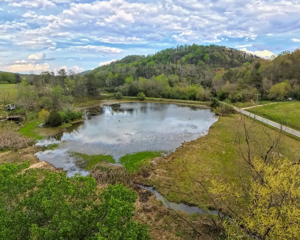 1483 Reagan Valley Road Tellico Plains, TN 37385