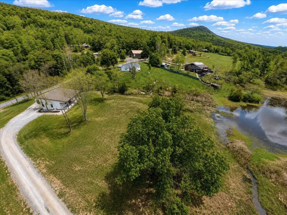 1483 Reagan Valley Road Tellico Plains, TN 37385