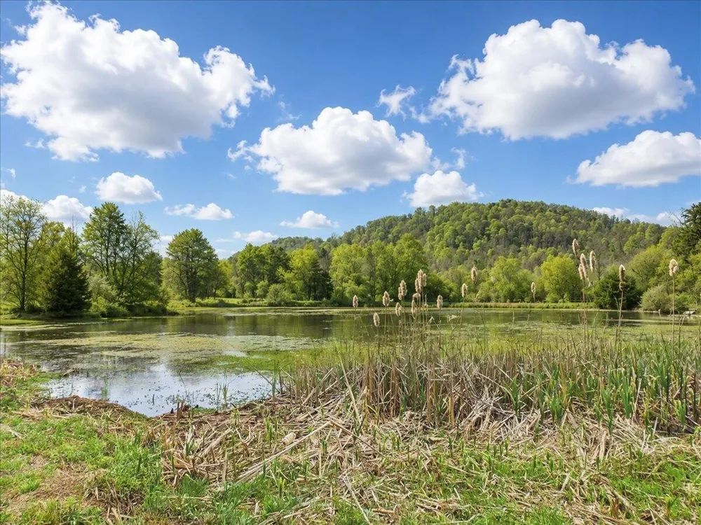 1483 Reagan Valley Road Tellico Plains, TN 37385