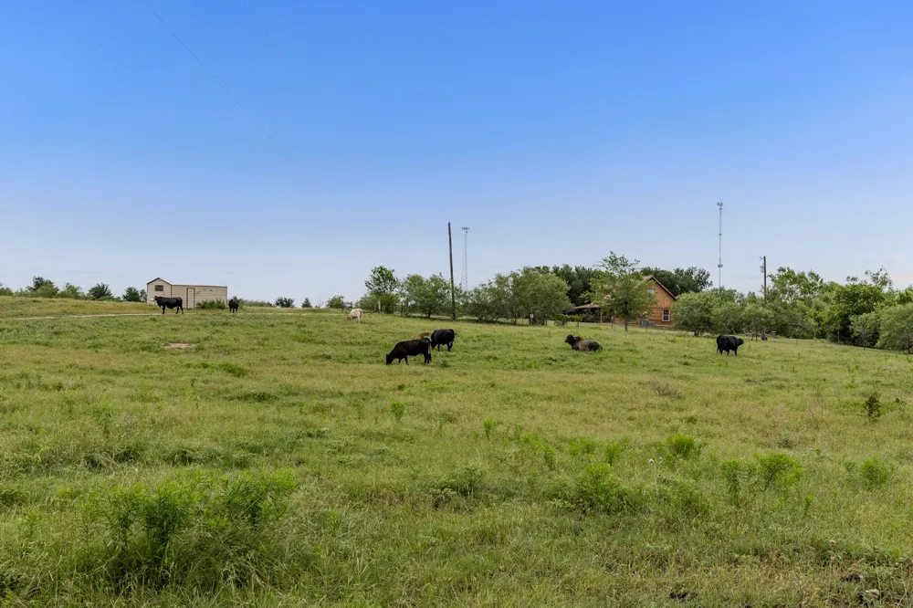 51 County Road 436 Thrall, TX 76578