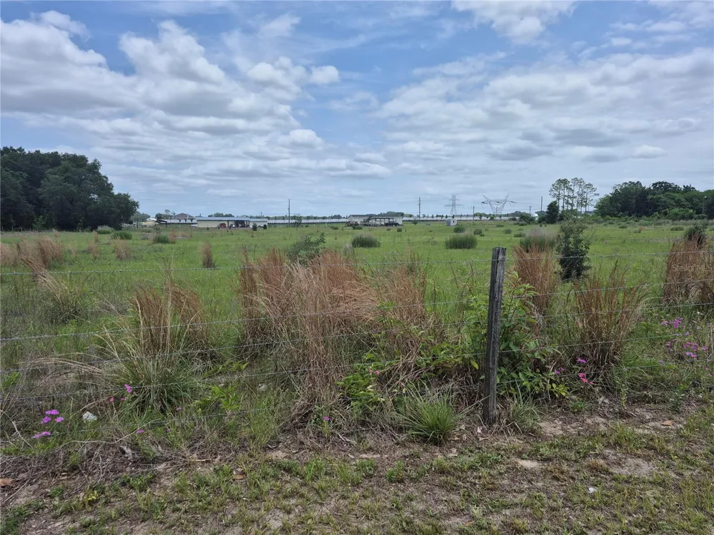 CR 229 Wildwood, FL 34785