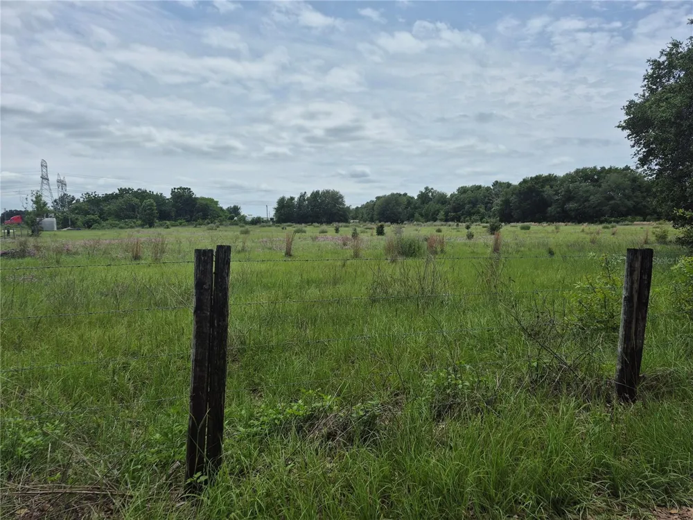 CR 229 Wildwood, FL 34785