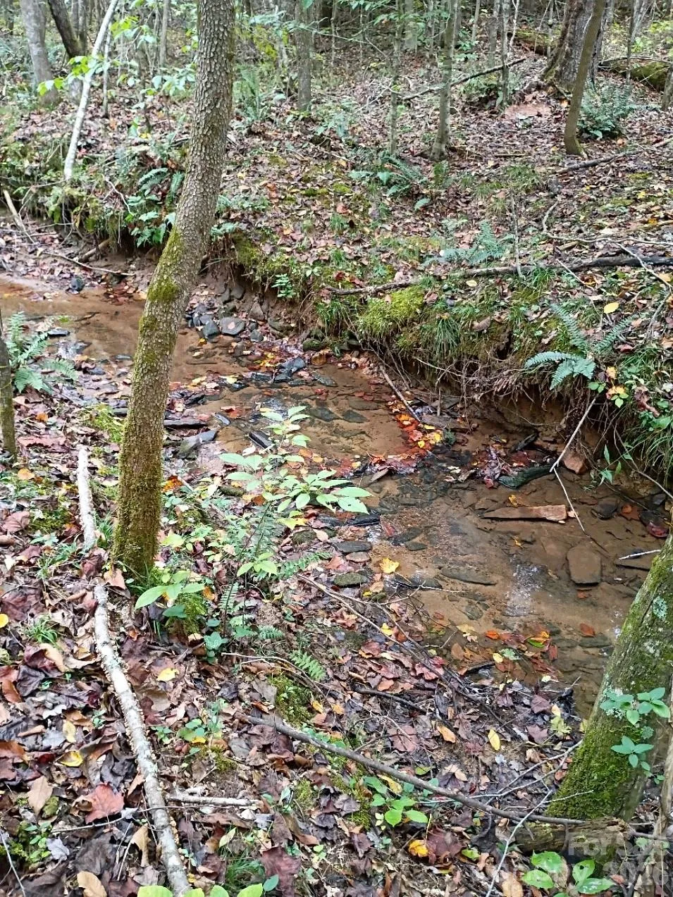3024 Camp Creek Road Union Mills, NC 28167