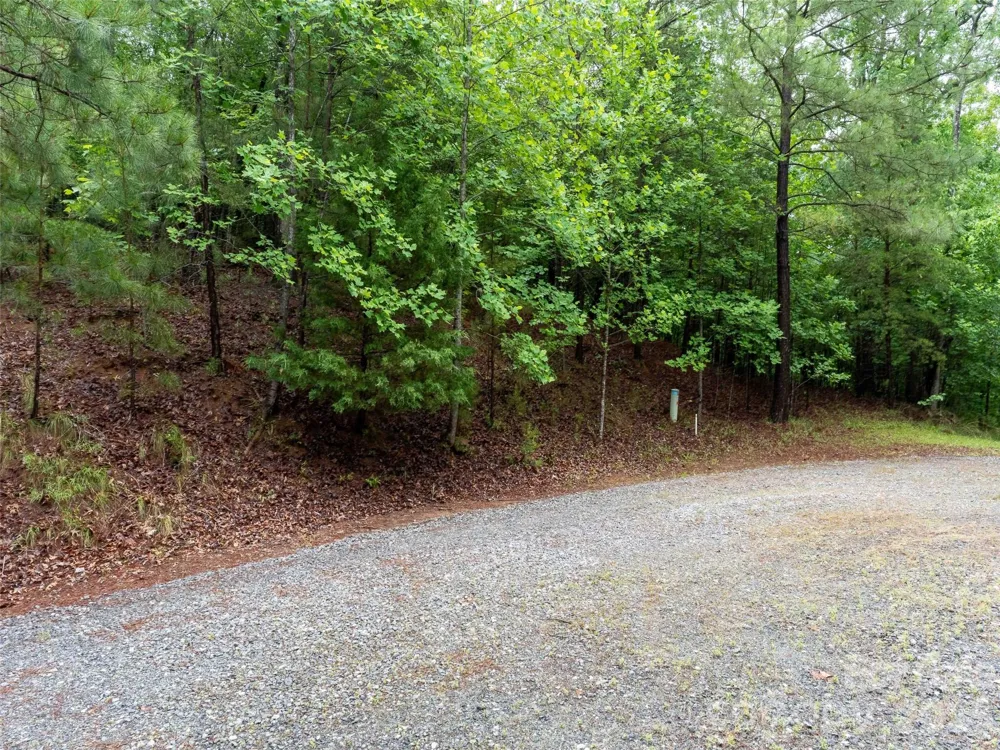 00 Bee Gee Lane Rutherfordton, NC 28139