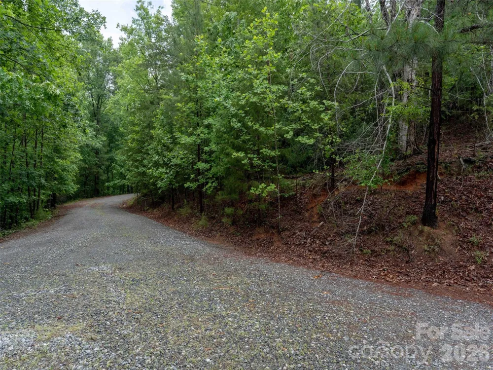00 Bee Gee Lane Rutherfordton, NC 28139