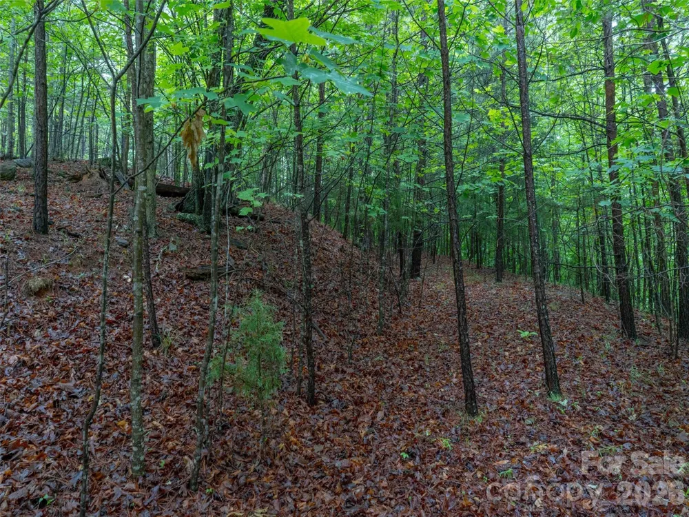 00 Bee Gee Lane Rutherfordton, NC 28139