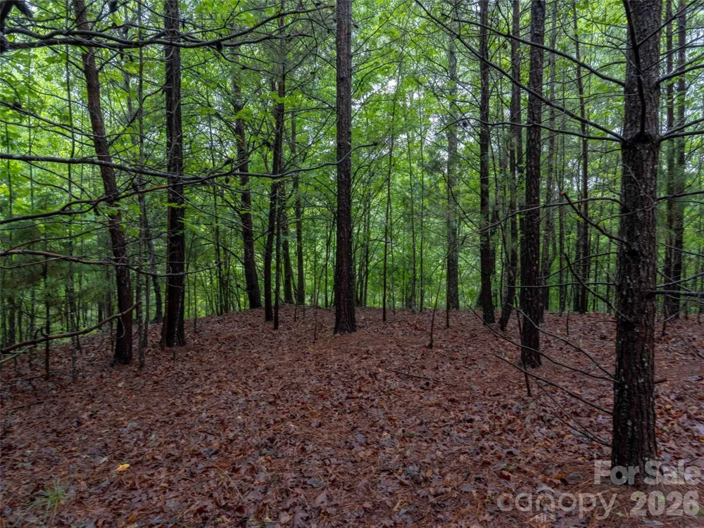 00 Bee Gee Lane Rutherfordton, NC 28139