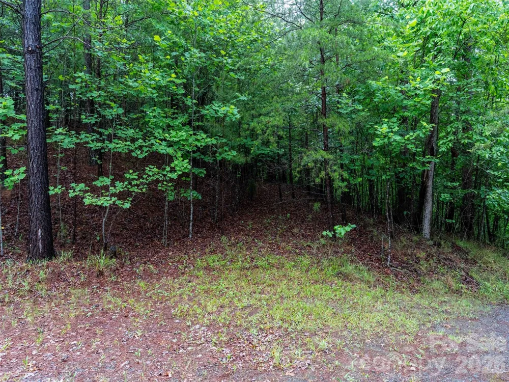 00 Bee Gee Lane Rutherfordton, NC 28139