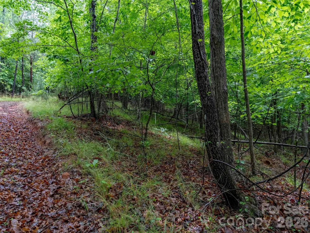 00 Bee Gee Lane Rutherfordton, NC 28139