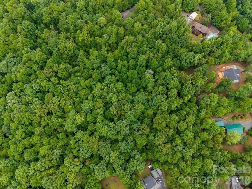 00 Bee Gee Lane Rutherfordton, NC 28139