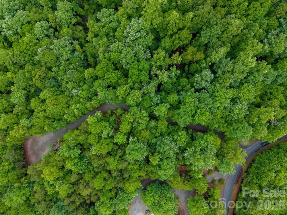 00 Bee Gee Lane Rutherfordton, NC 28139