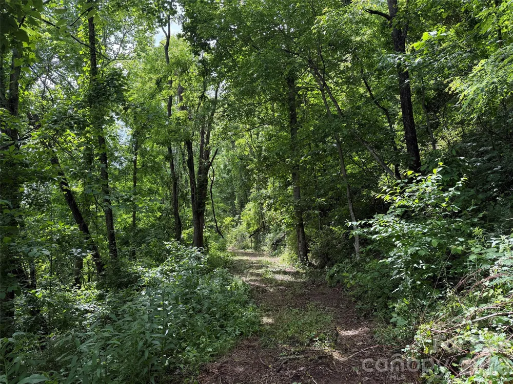 00 Panorama Drive #17 Waynesville, NC 28786