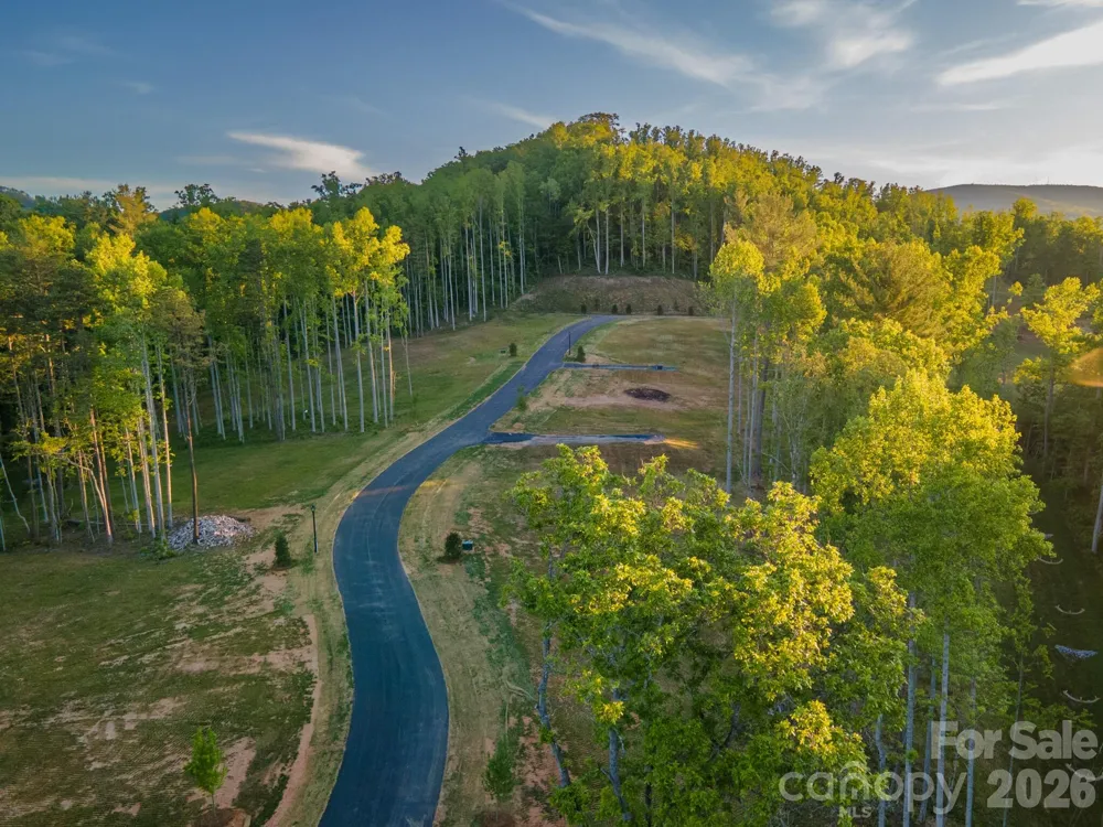 433 Irvine Drive Fairview, NC 28730