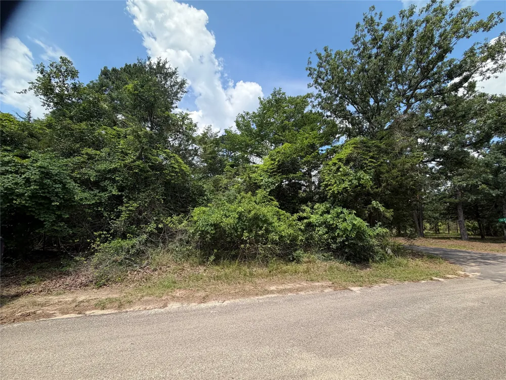 King Lake Road Scroggins, TX 75480
