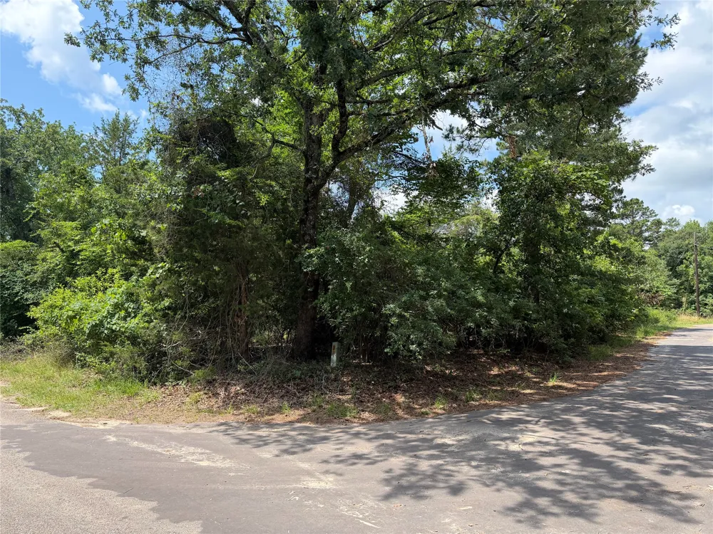 King Lake Road Scroggins, TX 75480