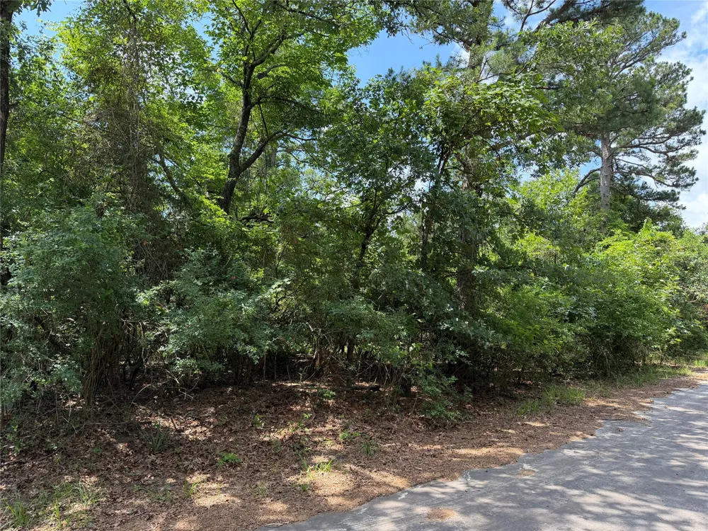 King Lake Road Scroggins, TX 75480