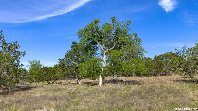 0019 Clearwater Comfort, TX 78013