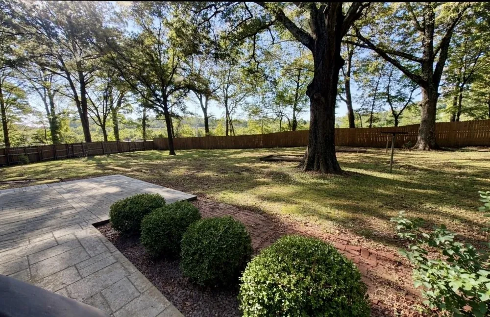 429 Whitehall CIR Paris, TN 38242