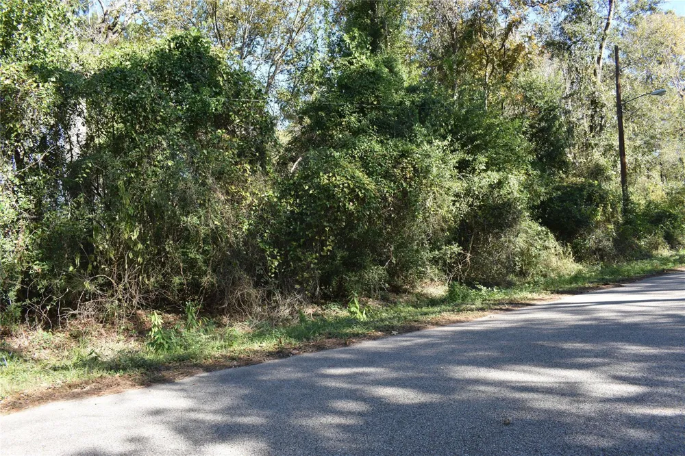 3415 Evergreen Drive Kingwood, TX 77365