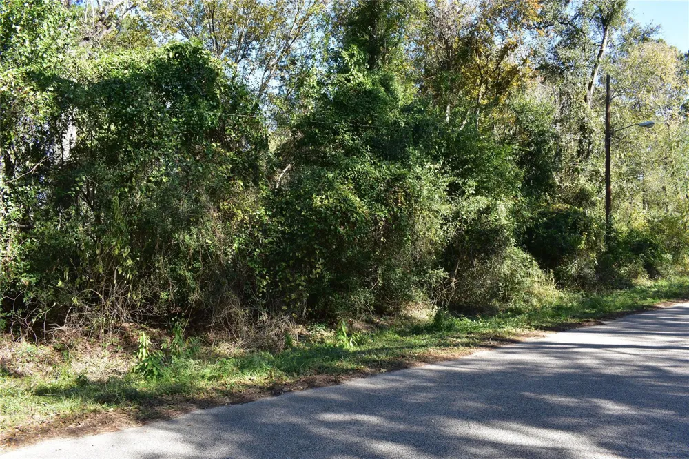 3415 Evergreen Drive Kingwood, TX 77365