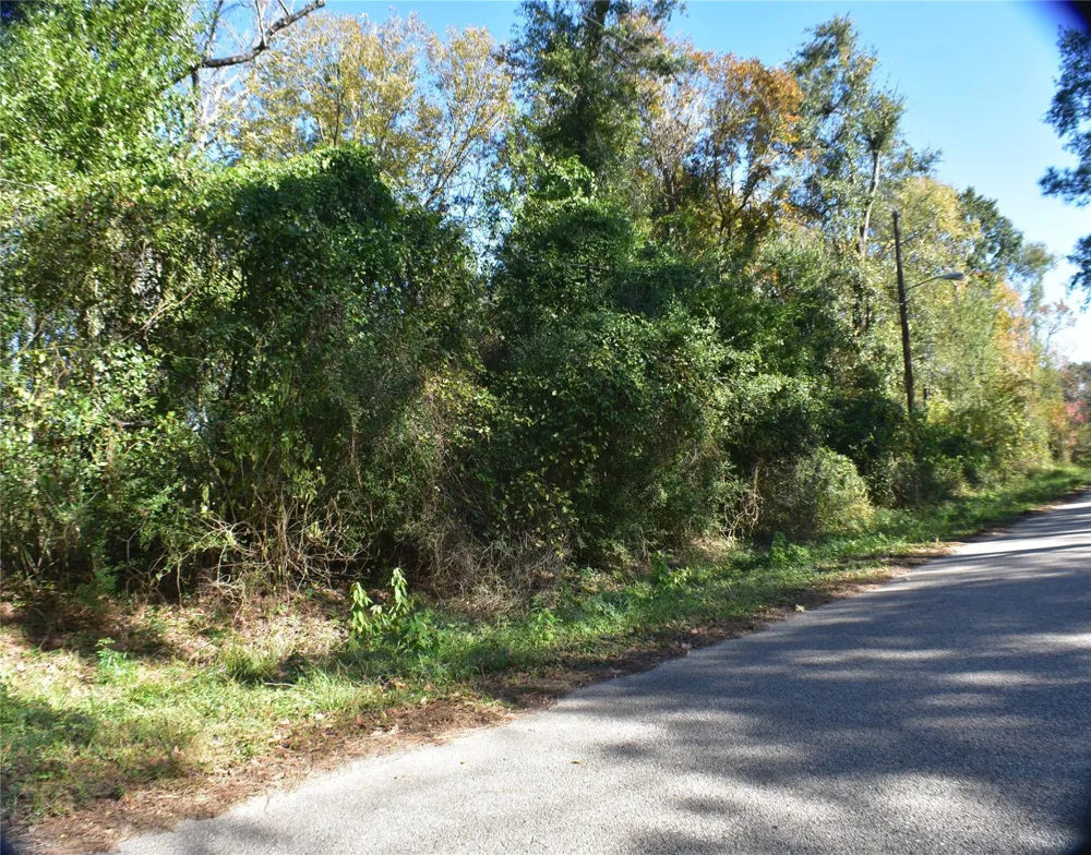 3415 Evergreen Drive Kingwood, TX 77365