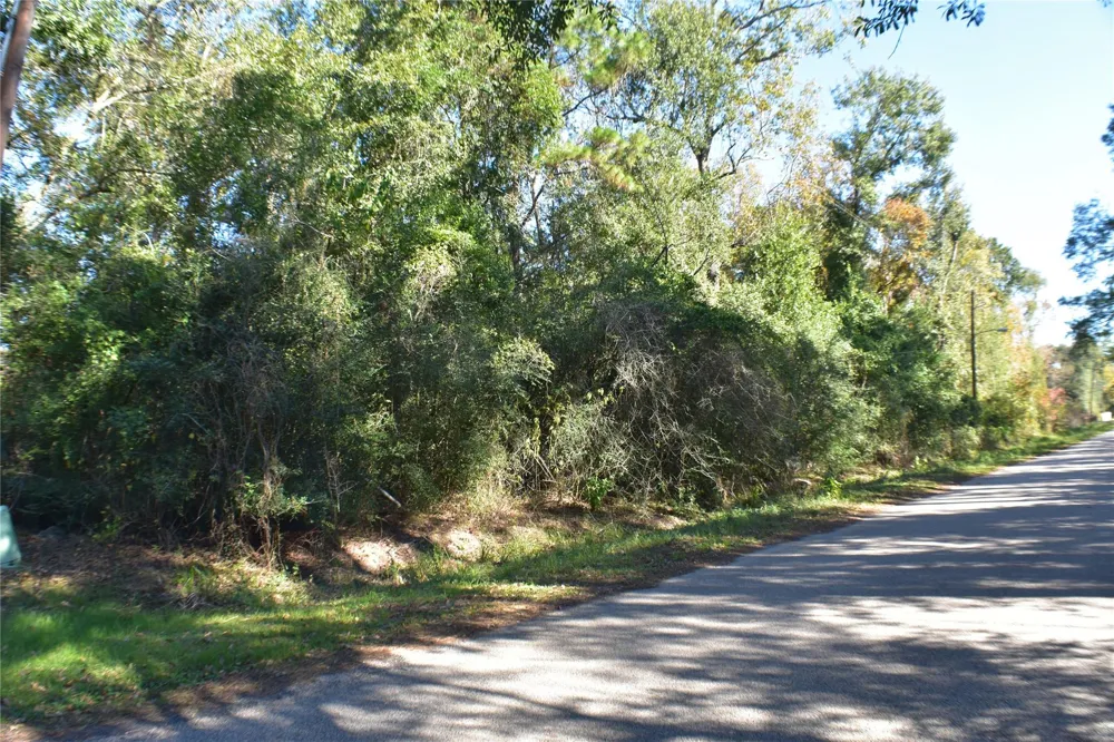 3415 Evergreen Drive Kingwood, TX 77365